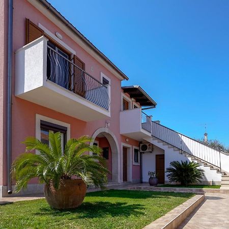 Apartments Palm View Ρόβινι Εξωτερικό φωτογραφία