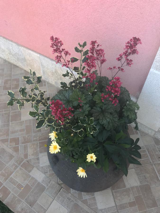 Apartments Palm View Ρόβινι Εξωτερικό φωτογραφία